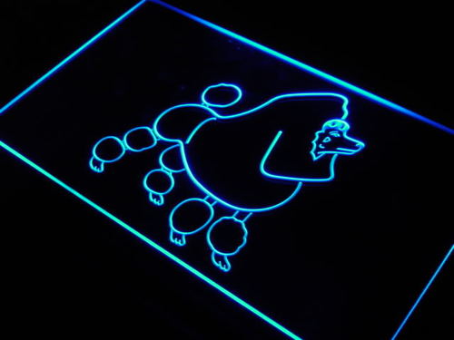 English Clip Poodle Dog Pet Shop Neon Light Sign